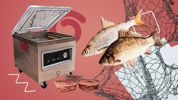  Соляная пещера и коптильня для рыбы: как многодетной ставропольской семье помогли соцконтракты