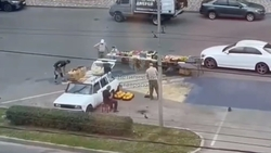 Управляющая компания восстановит закрашенную торговцами зебру на юге Ставрополя