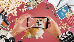 Мастер-класс по фотографии и детский киноклуб: чем заняться на выходных в Ставрополе