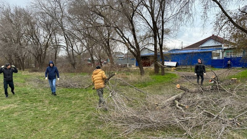 В Новоалександровске на территории будущего сквера высадили 80 ив и верб