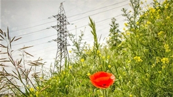 В Минераловодском округе завершается реконструкция 3,6 км линии электропередачи