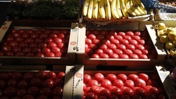 На Ставрополье завезли 820 тонн фруктов и овощей с начала года