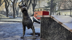 Писающий пёс «поселился» в Кисловодске 