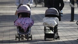 Студенческим семьям на Ставрополье выплатят 200 тыс. рублей при рождении ребёнка