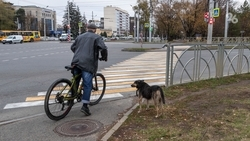Власти Ставрополя опровергли фейк о расширении дороги на Кулакова за счёт газона