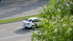 Таксопарки Ставрополья после локализации такси пополняются «Ладами» 