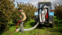 Более 17 тонн тары из-под пестицидов сдадут ставропольские аграрии