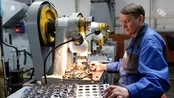 Металлургия возглавила рейтинг самых высокооплачиваемых отраслей на Ставрополье