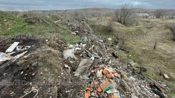 Незаконная свалка в Александровском округе заняла 1,2 тыс. кв. м