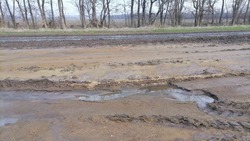 Поля в Шпаковском округе затопило жидким навозом