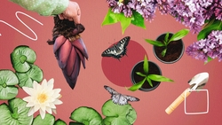 «В первую ночь цветёт белым, во вторую — розовым, в третью — бордовым»: какие сокровища хранит ботанический сад Ставрополя