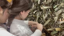 Незрячие дети из Кисловодска плетут маскировочные сети для бойцов СВО