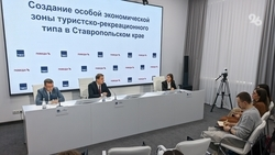 Создание особой экономической зоны на КМВ пройдёт в три этапа