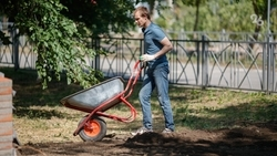 Половину от запланированных работ по Скверу семьи уже выполнили в Невинномысске