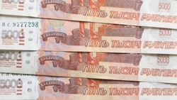 Жительница Ставрополья выплатила полмиллиона рублей алиментов