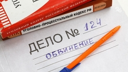 Уголовное дело по факту нападения на сотрудников полиции возбудили в Чечне 