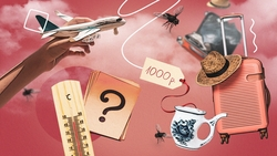 Мухи, амброзия и подзарядка на полу: за что критикуют аэропорт Минвод