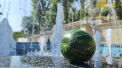 Блюда и напитки из арбуза попробуют участники ягодного фестиваля в Кисловодске 