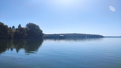 Губернатор поручил составить график очистки прудов в Красногвардейском округе