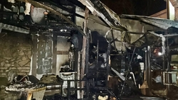 Двое кроликов погибли во время пожара в хоздворе в Ставрополе