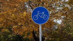 Глава Ставрополья: Строительство Кавминводского велотерренкура запланировано на 2024 год