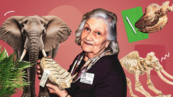 «Мама южных слонов»: какой была ставропольский палеонтолог Анна Швырёва