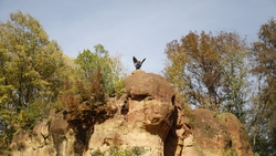 Новый маршрут появится в Национальном парке Кисловодска