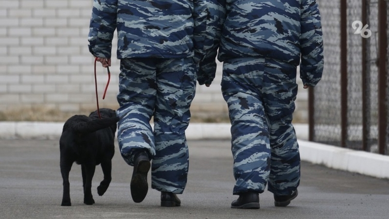 Детский сад эвакуировали в Будённовске после сообщений о минировании 