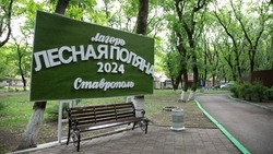 Лето в три смены: детский лагерь в Ставрополе готов принять на отдых 450 школьников