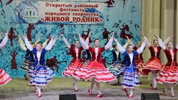 Фестиваль «Живой родник» в Предгорном округе побил рекорд по числу участников