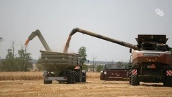 Производство сельхозпродукции принесло Ставрополью 227,7 млрд рублей