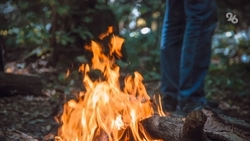 Чрезвычайную пожароопасность объявили на Ставрополье 