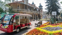 Жители России могут поучаствовать в онлайн-экскурсиях по Ставрополью 