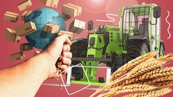 «Хватит и себе, и на экспорт»: как на Ставрополье идёт весенняя посевная