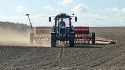 Почти 98% озимых семян в Грачёвском округе адаптированы к засушливому климату