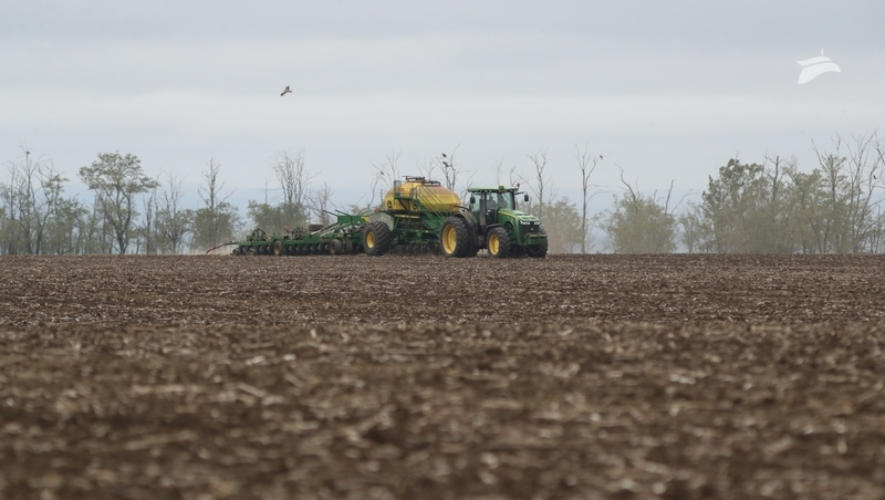 Гербициды могли стать причиной пожелтения всходов в хозяйстве на Ставрополье