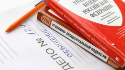 На мужчину, напавшего на женщину с собакой во Владикавказе, возбудили дело