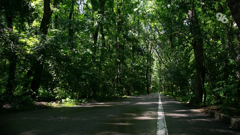 Грибник нашёл подозрительное устройство в лесу на юге Ставрополья