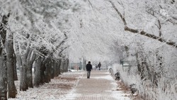 Мокрый снег и перепады температуры: какой будет погода на Ставрополье в последнюю неделю года