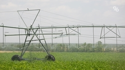 Мелиорацией охватили ещё 8,2 тыс. га ставропольских земель