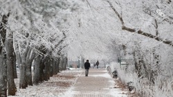 Мокрый снег и гололёд ожидают ставропольцев в конце недели
