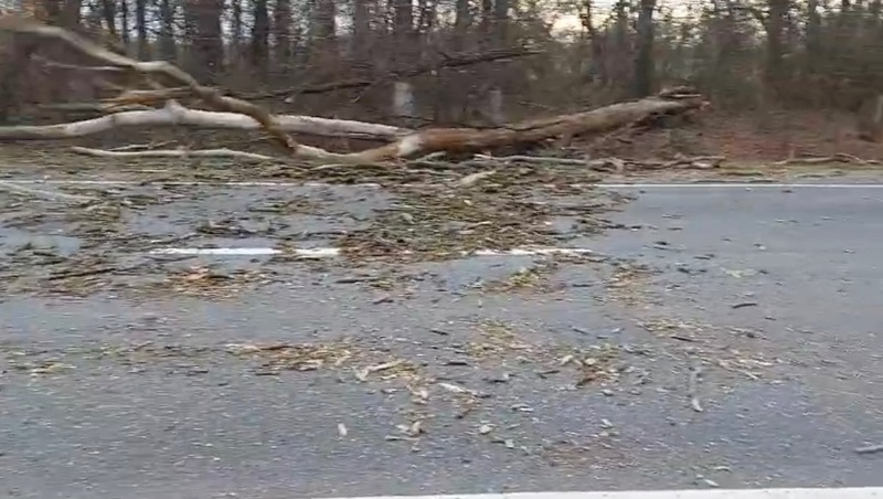 Автоинспекторы Ставрополья убрали с дороги упавшее дерево 