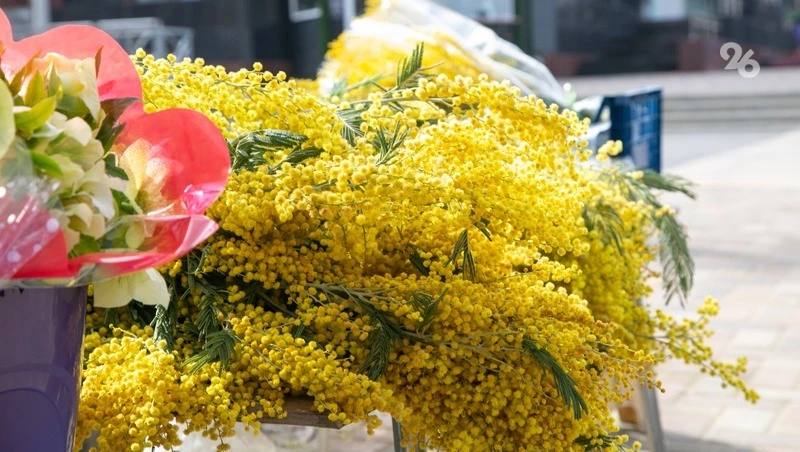 Волонтёры со Ставрополья первыми запустили акцию «Цветы мамам героев»