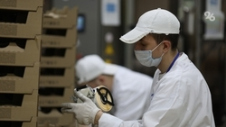 Ипатовский пивзавод планирует поставлять продукцию за рубеж