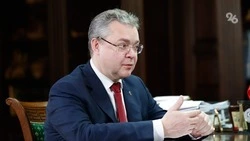 Губернатор Ставрополья и глава Курчатовского института обсудили сотрудничество