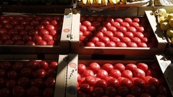 Импортные овощи на Ставрополье не считают конкурентами местной продукции