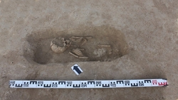 Археологи раскопали курганный могильник «Тихий-1» в Будённовском округе