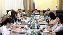 Депутаты Ставрополья хотят расширить возможности для оказания паллиативной помощи в сёлах 