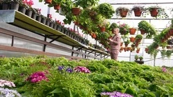 В Петровском округе в 2026 году планируют заключить 114 социальных контрактов