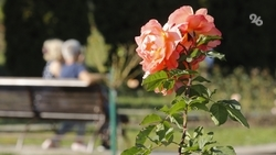 Трёхдневные выходные ждут ставропольцев в марте